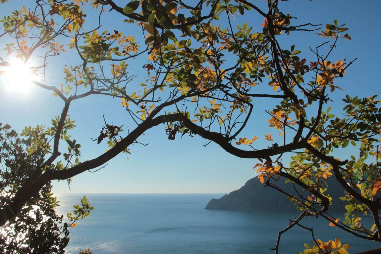 A Ca Du Barba Apartman Monterosso al Mare Kültér fotó